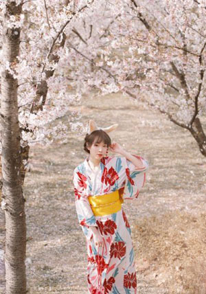 新红楼梦2005