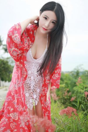我的团长我的团